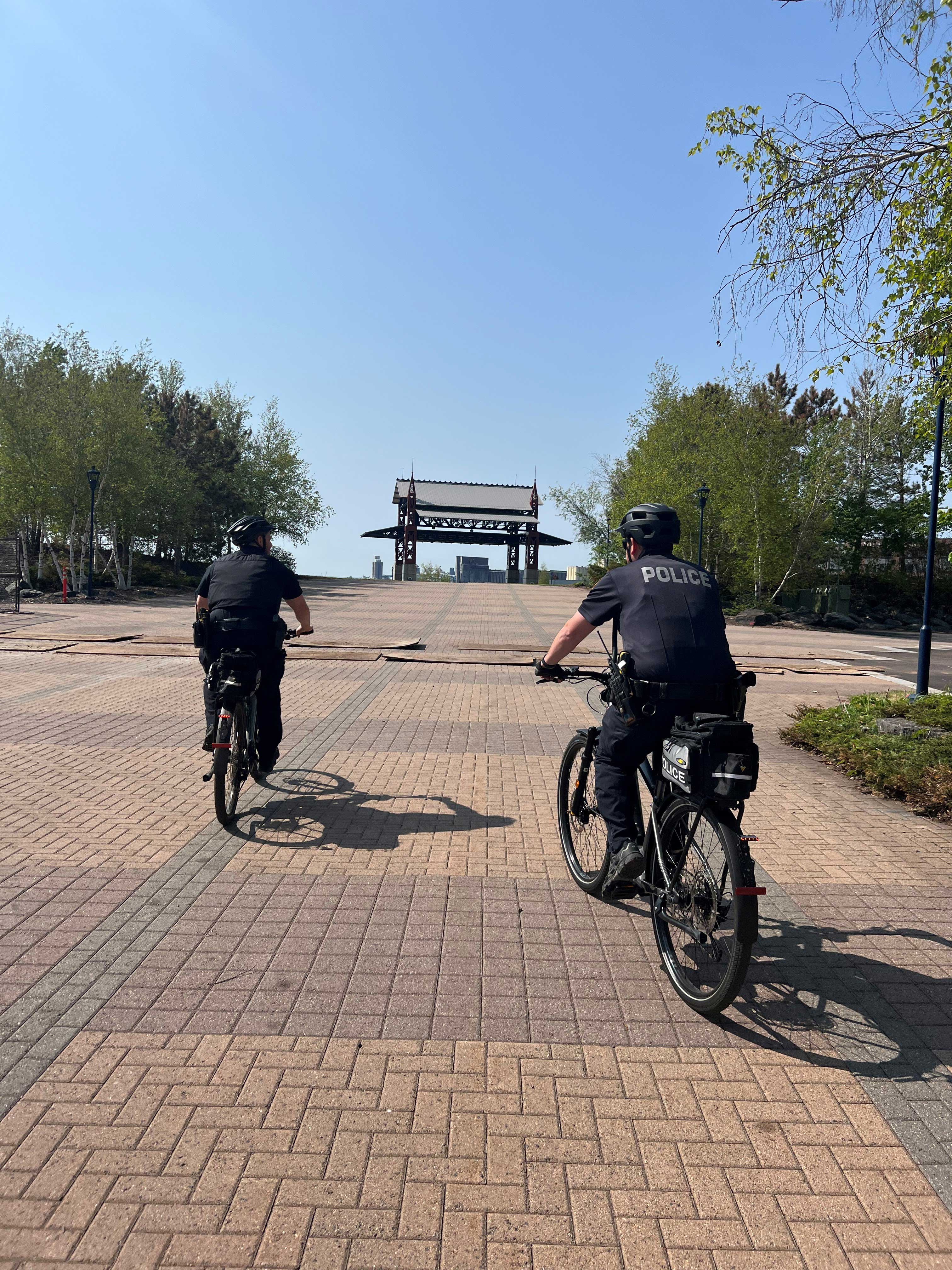 DPD1 DPD1