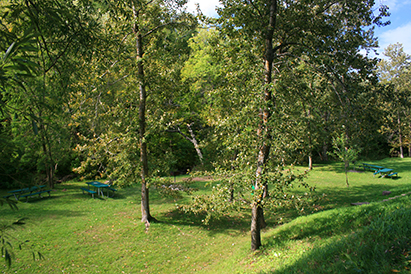 Chester Park Picnic Area
