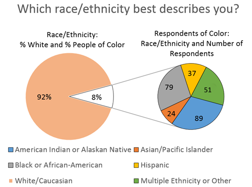 Race/Ethnicity Graph