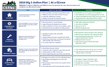 Big 5 Action Plan Screenshot